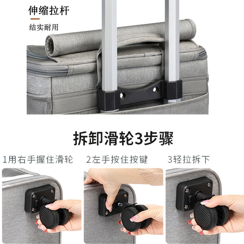 Hanbang Double Layer Pet Rolli - Foldable Rolling Luggage Bag ulasan dan harga